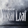 I'd Do Anything For Love (But I Won't Do That) - Single Edit by Meat Loaf iTunes Track 4