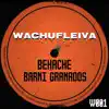 Wachufleiva 1 - EP album lyrics, reviews, download