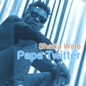 Papa Twitter artwork