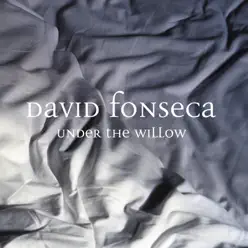 Under the Willow - Single - David Fonseca