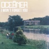 I Won't Forget You - Single