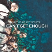 I Can't Get Enough (feat. Kate Wild) artwork