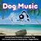 Music for Dogs (Reggae Version) - Relax My Dog lyrics