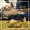 different.EP