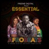 Essential Afrobeats, Vol. 4