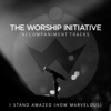 I Stand Amazed (How Marvelous) [The Worship Initiative Accompaniment] - Single