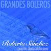 Grandes boleros (Remasterizado)