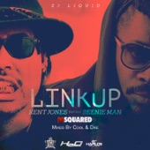 Link Up (feat. Beenie Man) artwork