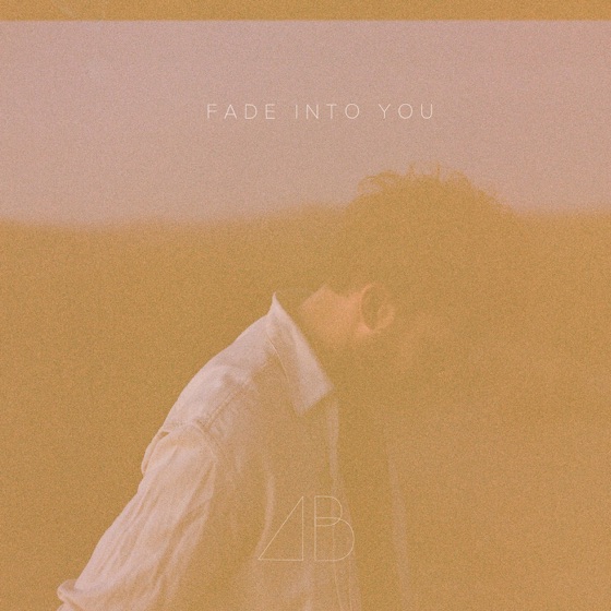 Cover artwork for Fade into You