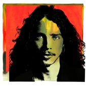 Chris Cornell - Nothing Compares 2 U