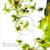 Fenou12 - Show Me Satisfaction - Single