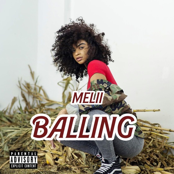 Cover artwork for Balling