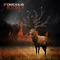 Little Wonder - Martin Merkel lyrics