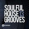 Soulful House Grooves, Vol. 13