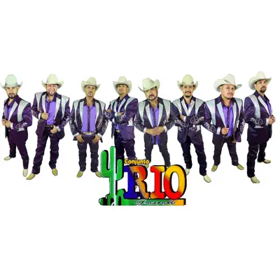 No Me Enseñaste - Single - Conjunto Río Grande