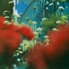 Pulled Apart By Horses - The Big What If