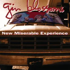 New Miserable Experience - Gin Blossoms