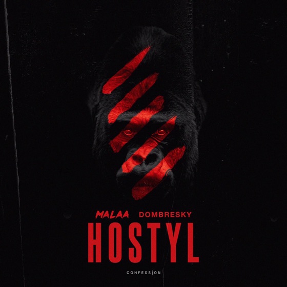 Cover artwork for Hostyl