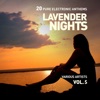 Lavender Nights (20 Pure Electronic Anthems), Vol. 5