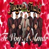 Te Voy a Amar - Single