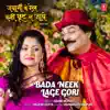 Bada Neek Lage Gori (From "Jawani Ke Rail Kahin Chhut Na Jaye") - Single album lyrics, reviews, download