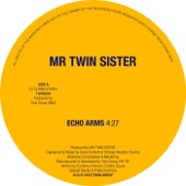 Echo Arms by Mr Twin Sister