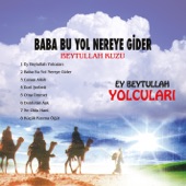 Baba Bu Yol Nereye Gider artwork