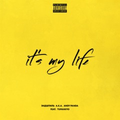 It's My Life (feat. TumaniYO)