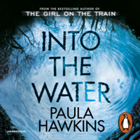 Paula Hawkins - Into the Water artwork