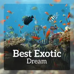 Best Exotic Dream: Tropical Journey, Island of Relaxation, Wild Jungle, Amazonian Oasis by Exotic Nature Kingdom album reviews, ratings, credits