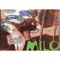 Coffee Drips (feat. Gregg Hill) - Milo lyrics