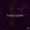 Cheat Codes (feat. R3ntMon3y) - City 3000 lyrics