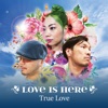 True Love - Single