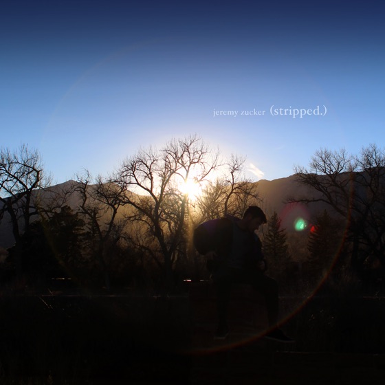 Cover artwork for Talk Is Overrated (Stripped.)