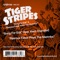 Song For Edit (feat. Kerri Chandler) - Tiger Stripes lyrics