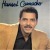 Hansel Camacho, 1993