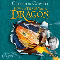 Cressida Cowell - How to Train Your Dragon: How to Fight a Dragon's Fury artwork