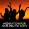 Calming Music Academy - Reiki Healing Music Ensemble lyrics