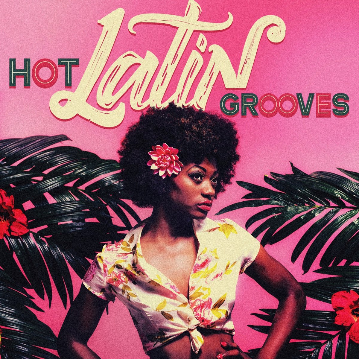 ‎Hot Latin Grooves by Various Artists on Apple Music 