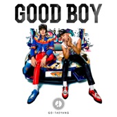 Good Boy (Instrumental) artwork