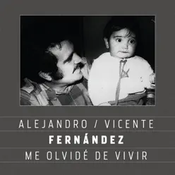 Me Olvidé de Vivir (feat. Vicente Fernández) - Single - Alejandro Fernández