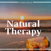 Natural Therapy: Ambient Music, Yoga Meditation, Soothing Sounds, Relaxing Therapy Songs, Yoga Meditation artwork