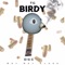 Birdy - TG DGC lyrics