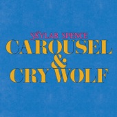 Carousel by Skylar Spence