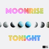 Moonrise Tonight – Peace Therapy + Modern Downtempo/Trip Hop/Ambient Mix artwork