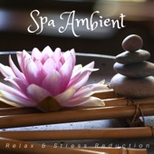 Spa Ambient: Relax & Stress Reduction, Relaxation Music for Wellness, Nature Sounds artwork