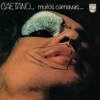 Caetano Veloso - A Filha da Chiquita Bacana