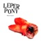 The Fat Brown Sugar Boy Needs to Relax - Leper Pony lyrics