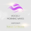 Voices / Morning Waves - EP