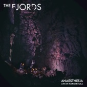 Anaesthesia (Live) artwork